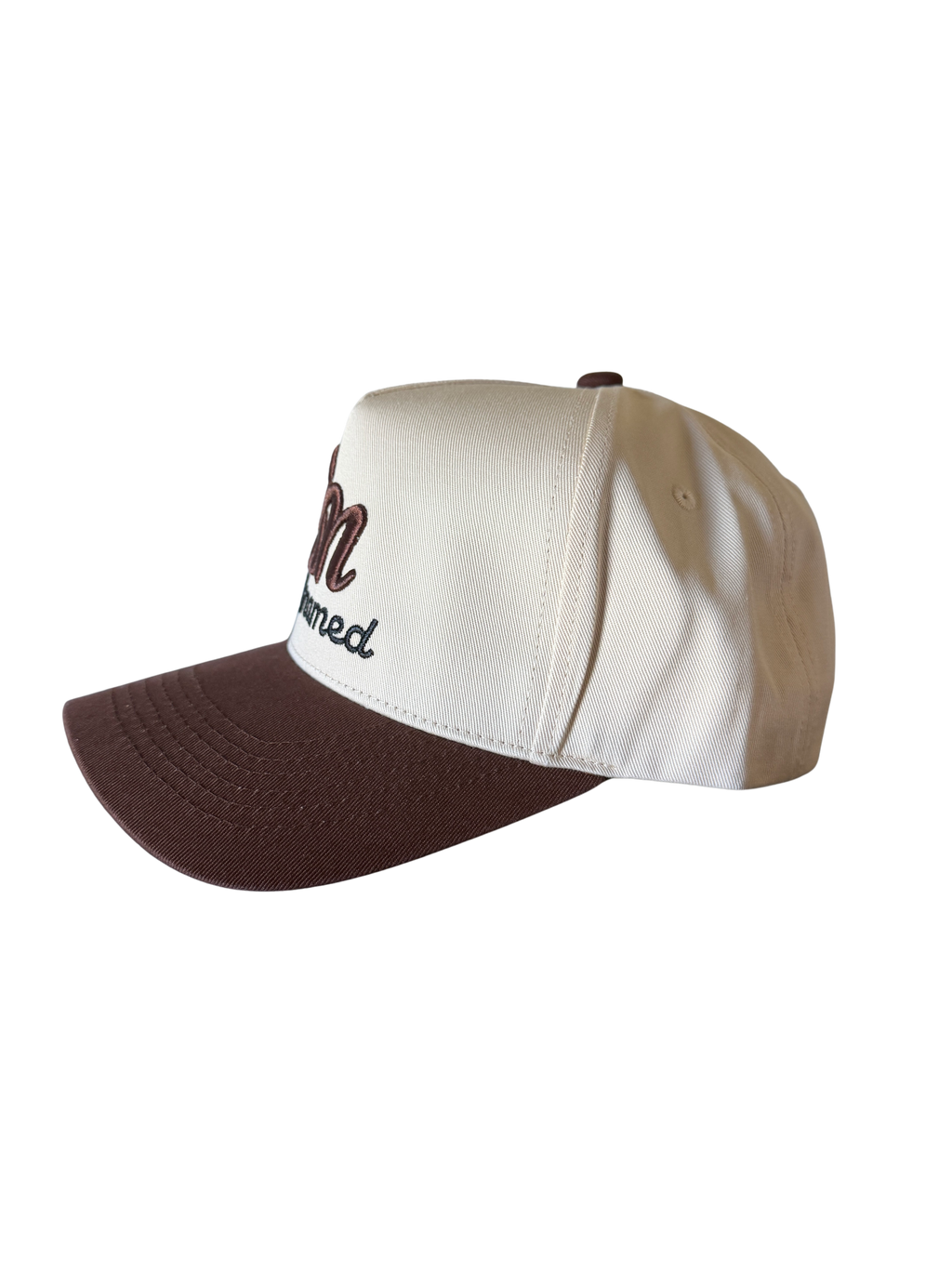 Whiskey DadNamed Logo Hat — Brown & Khaki